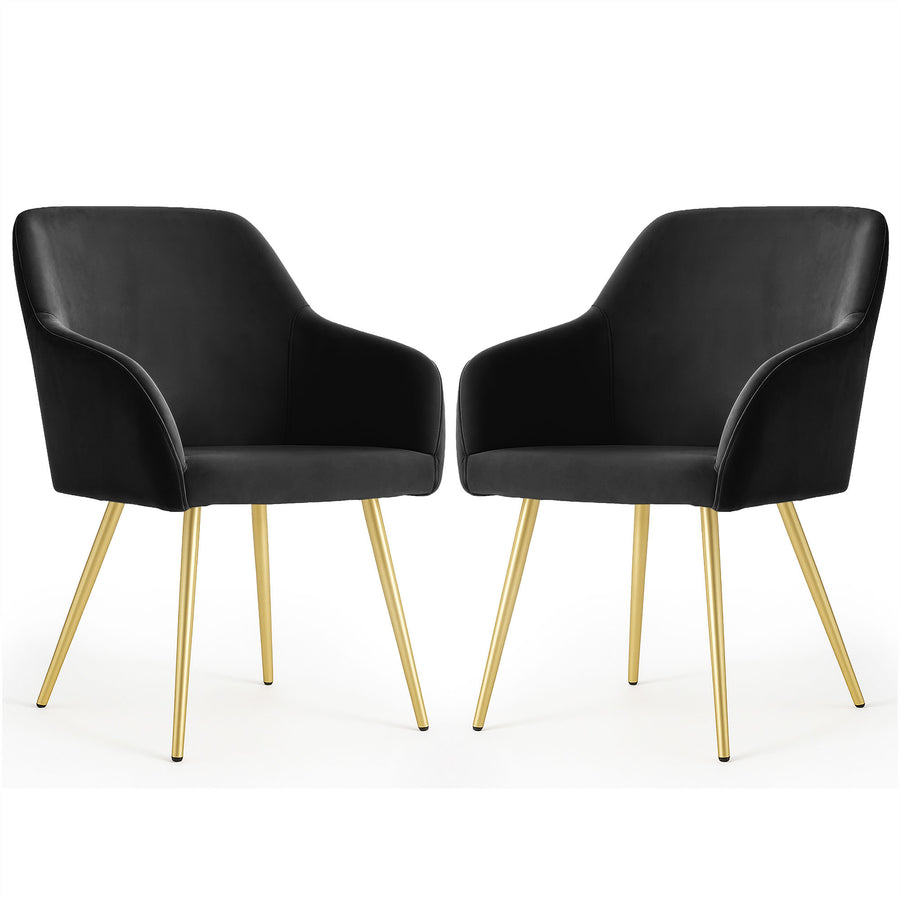Stuhl Set – ESTELLE – Luxuriöse Samtstühle für elegantes Wohnen
