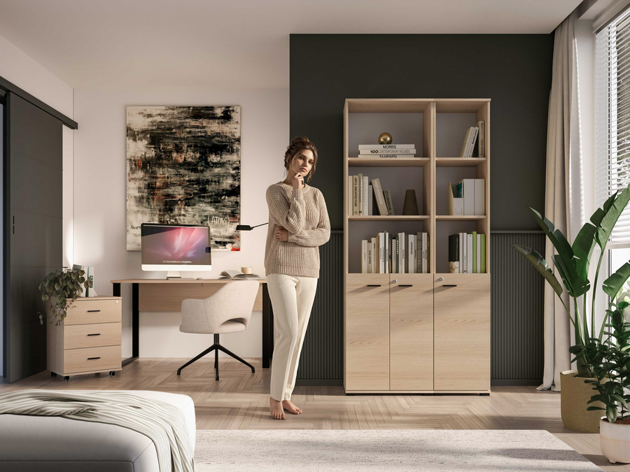 Büroregal – ODELIS – Funktionales Regal mit verschließbarem Stauraum