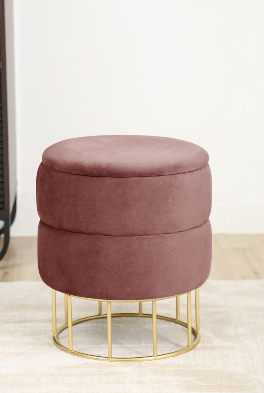 Sitzhocker – ELZA – Eleganter Samt Sitzhocker mit praktischem Stauraum