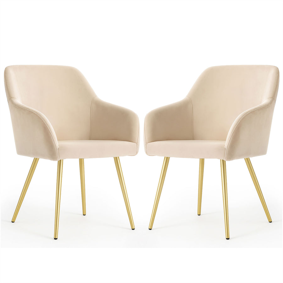 Stuhl Set – ESTELLE – Luxuriöse Samtstühle für elegantes Wohnen