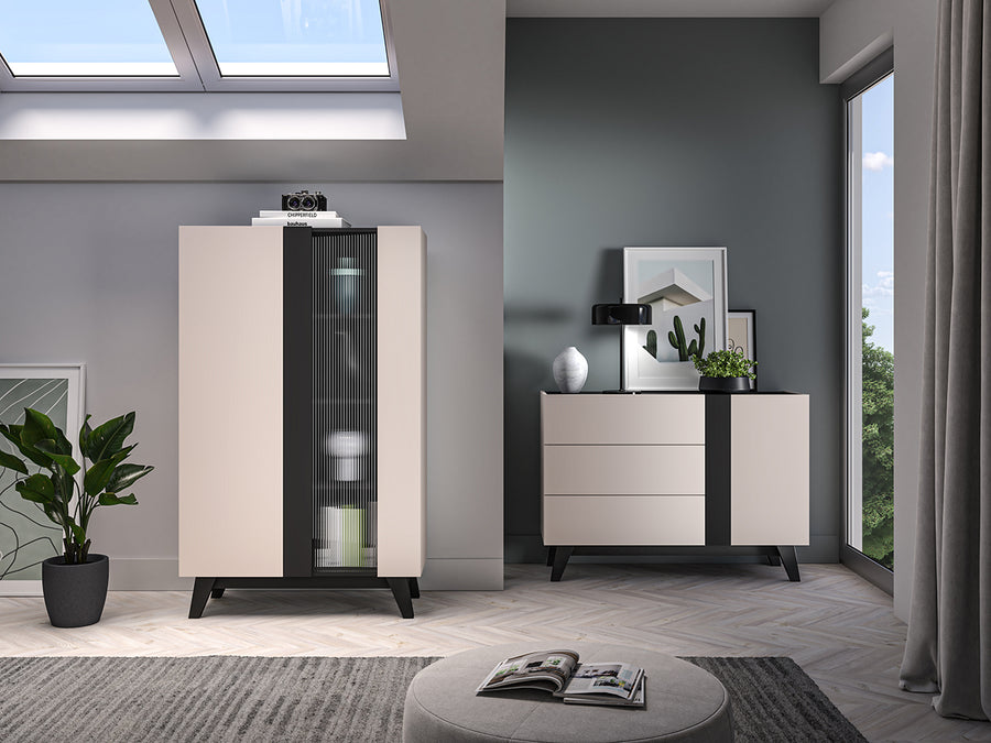 Vitrine – FRESHION 02 – Moderne Aufbewahrungsvitrine mit Glastür