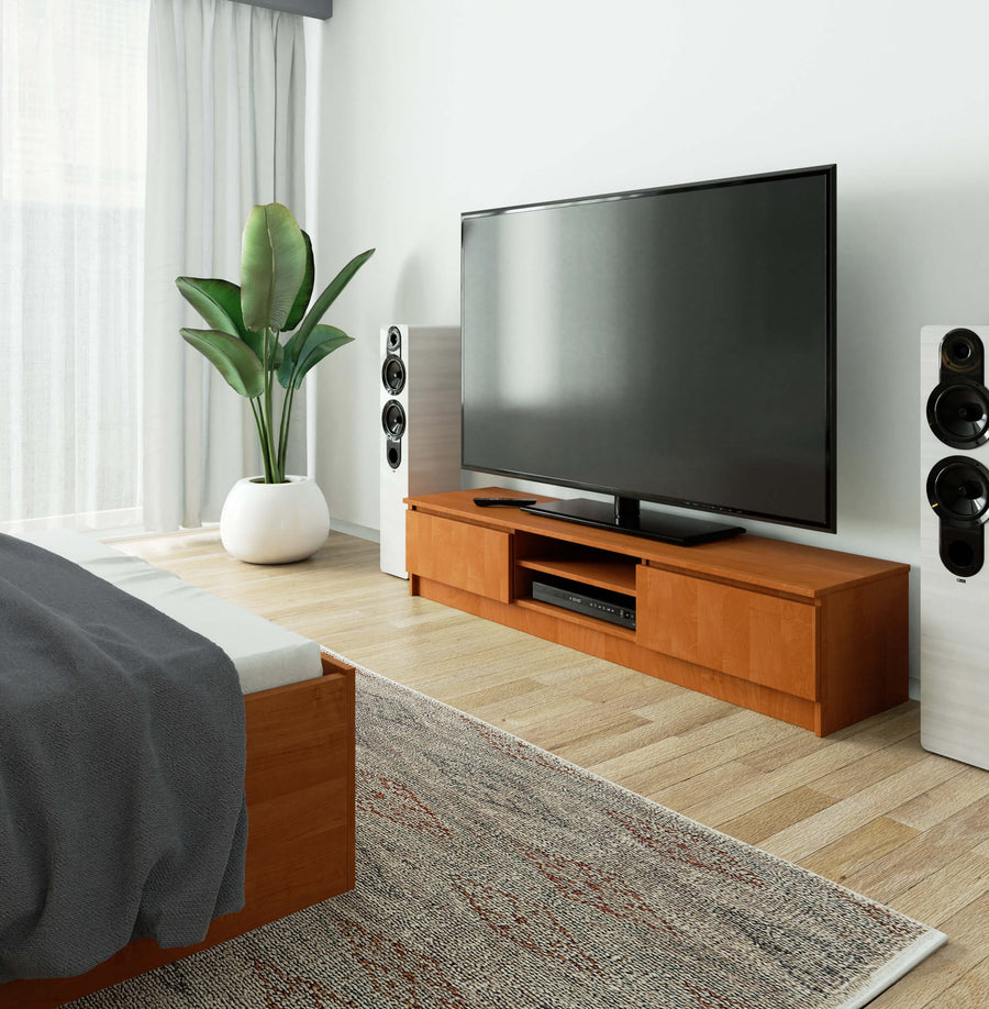 TV-Lowboard – Modernes Lowboard mit 2 Türen und 2 Fächern